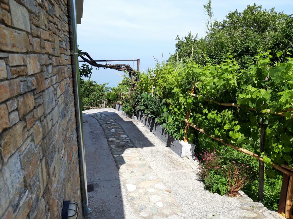 Ammos Papanero Agios Ioannis (Thessaly) Exterior foto