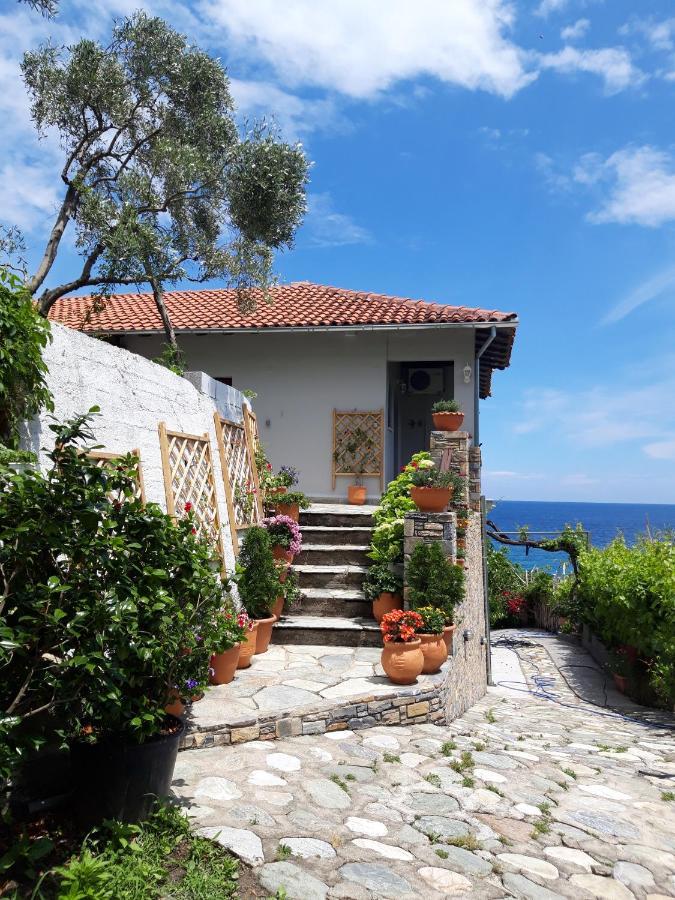 Ammos Papanero Agios Ioannis (Thessaly) Exterior foto
